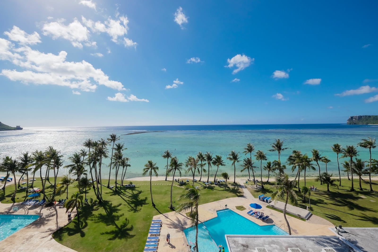 a pool and palm trees by the ocean